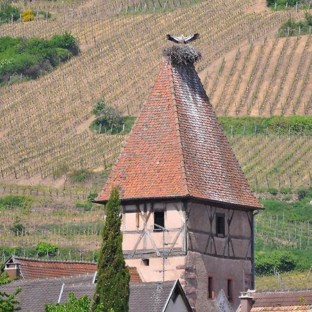 Gite Du Vignoble Ammerschwihr Exteriér fotografie